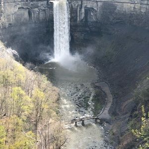 Meet your Posher, Tara